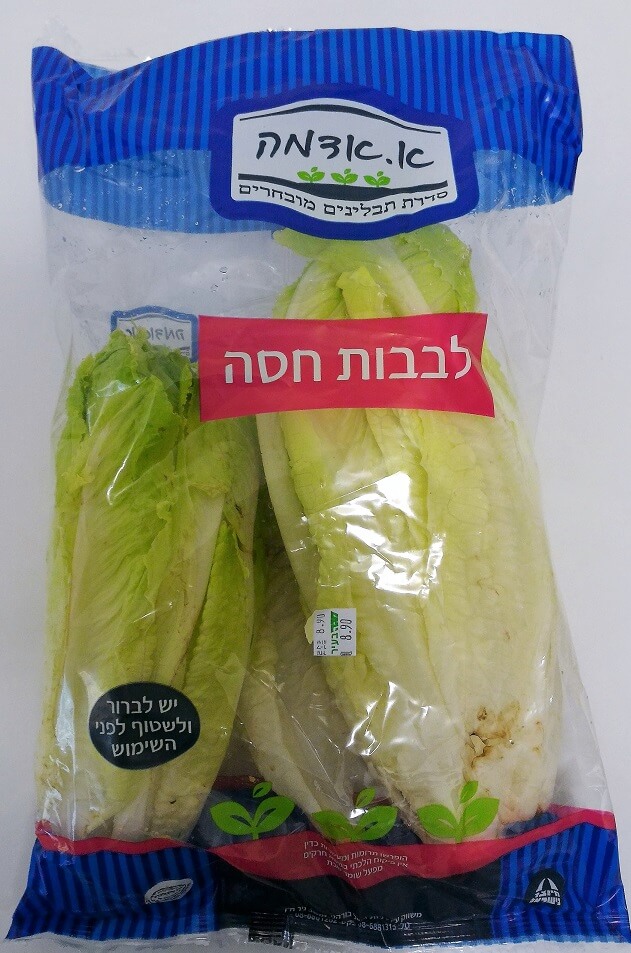 לבבות חסה שקית