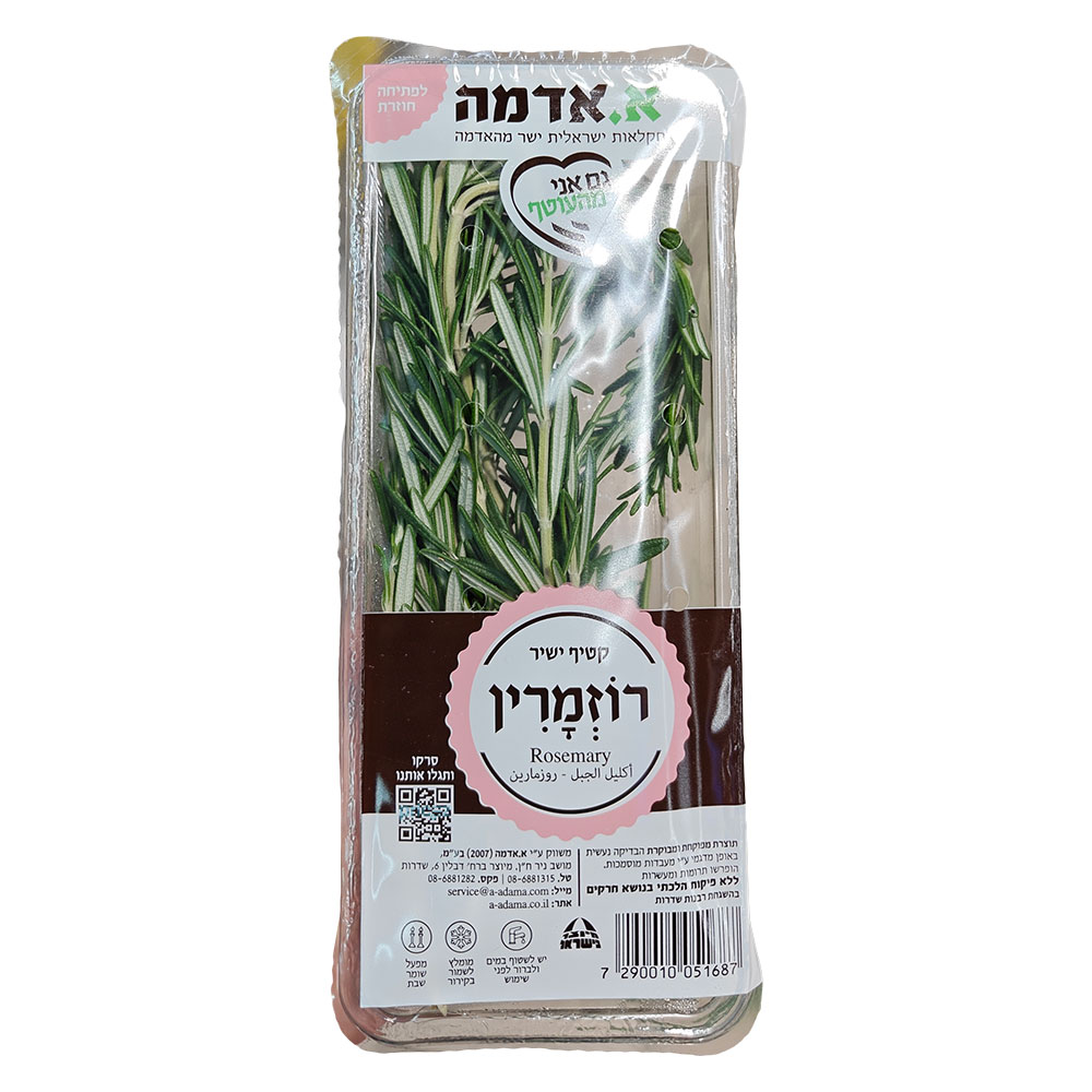 רוזמרין יח'