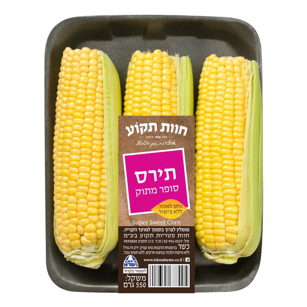 תירס סופר מתוק