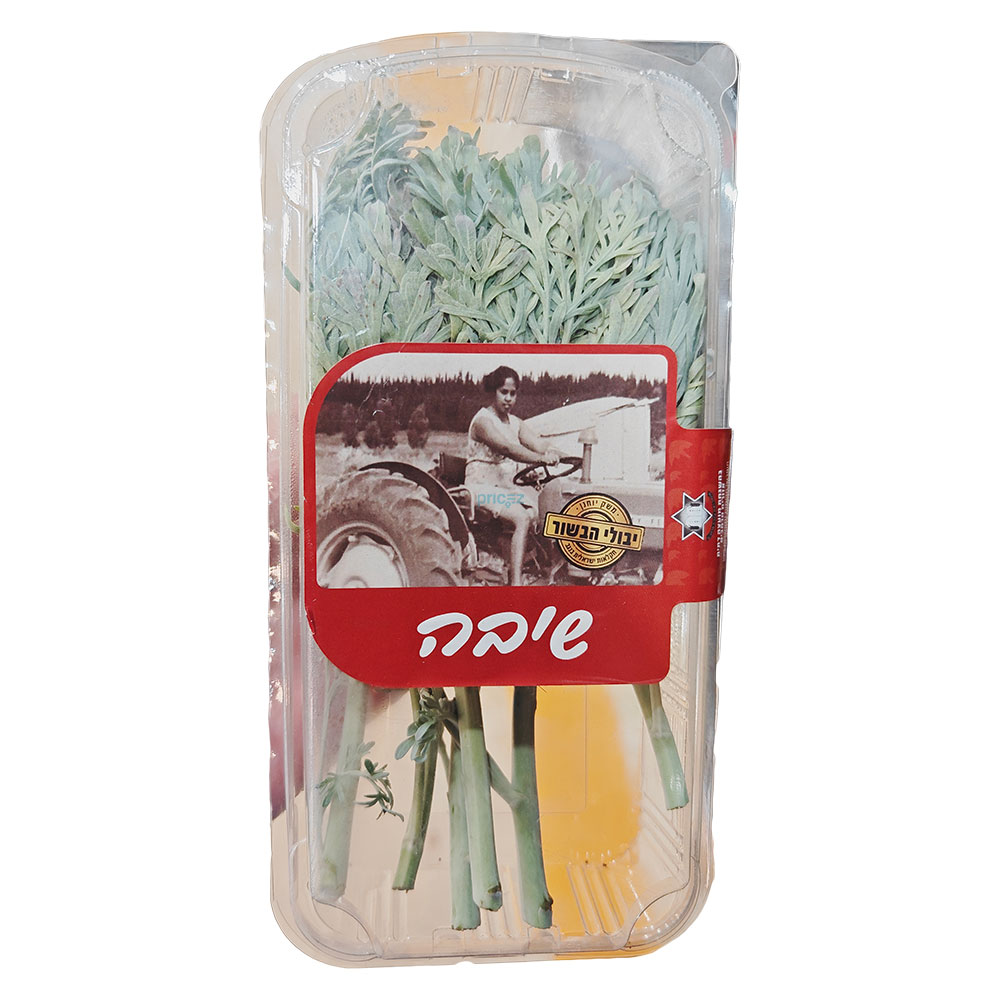 שיבה יחידה