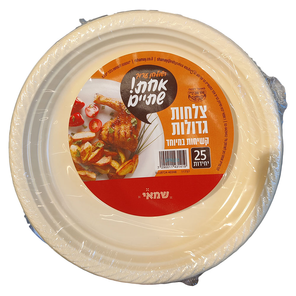 צלחות גדול צבעוני 25