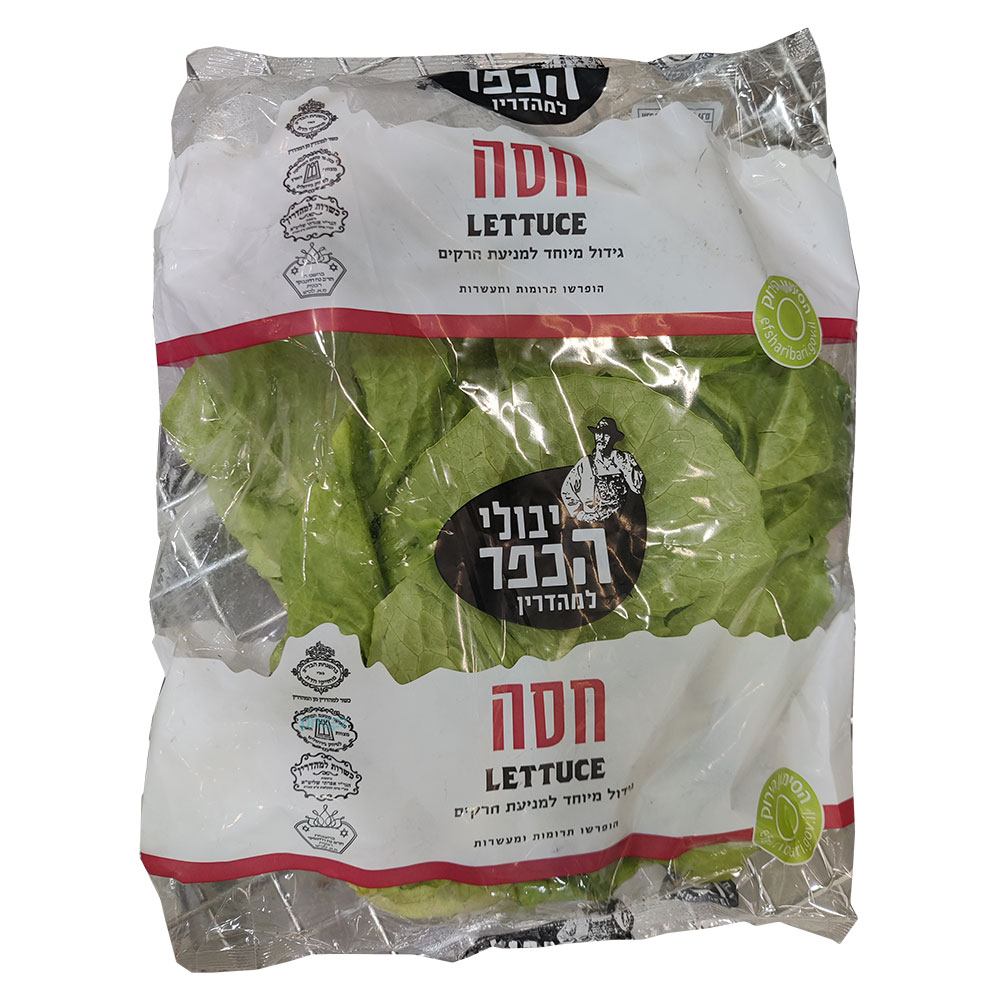 חסה מהדרין יבולי הכפ