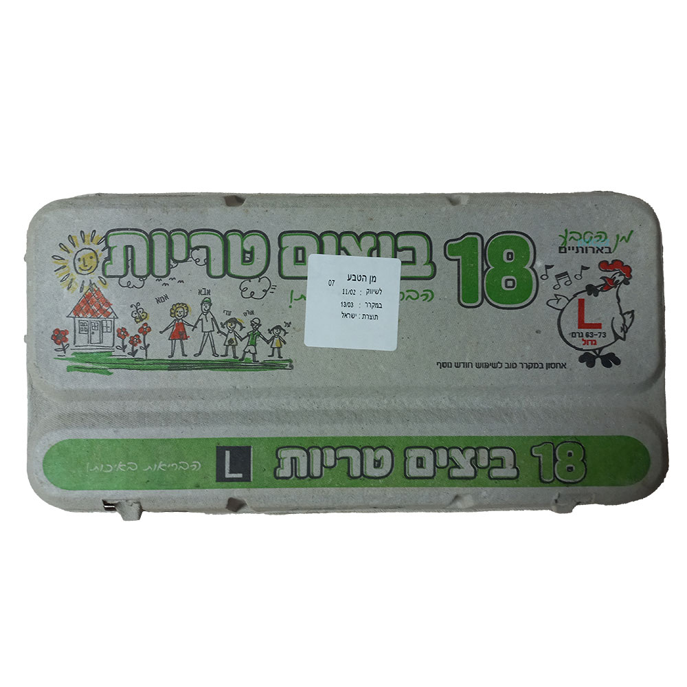 ביצים רגילות 18 יח L