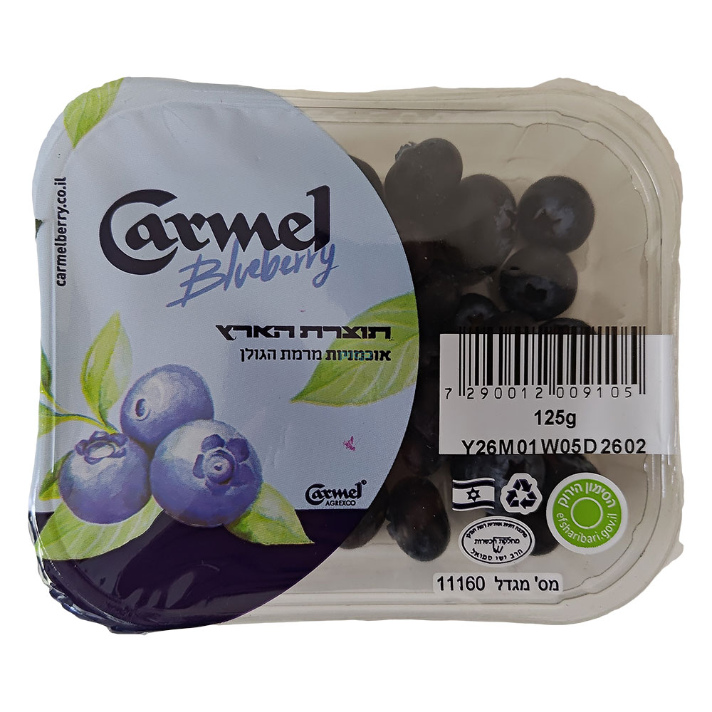 אוכמניות טריות כרמל