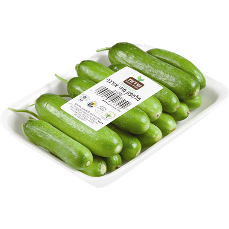 מלפפון בייבי יח'