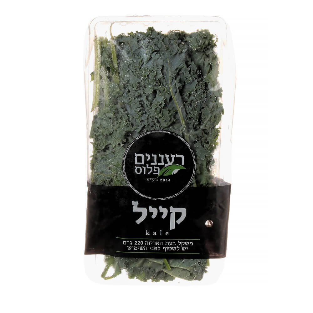 קייל יח'