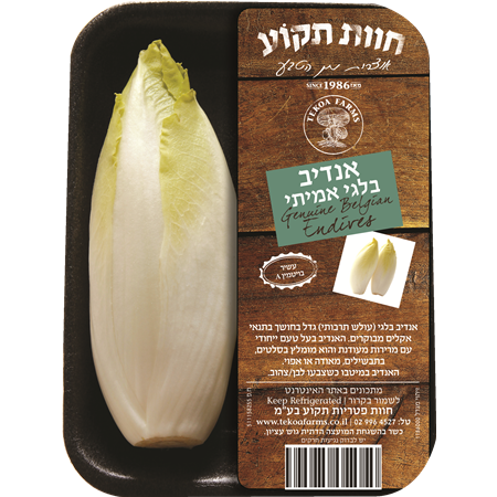 אנדיב - ארוז