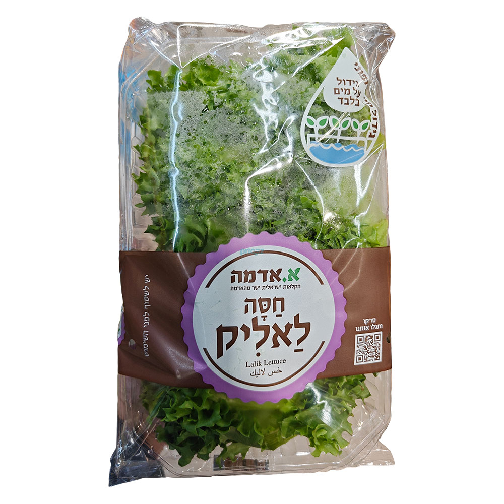 חסה לאליק