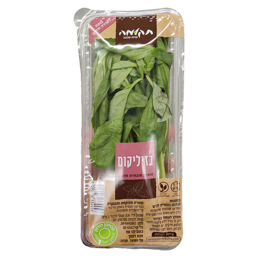 בזיליקום תקומה