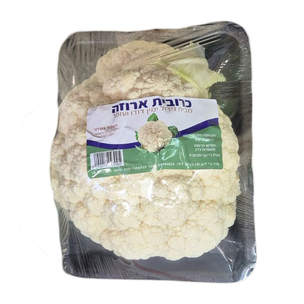 כרובית ישראל