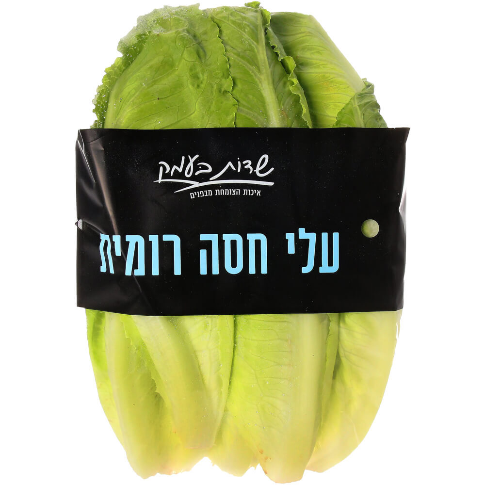 עלי חסה רומית בנספק
