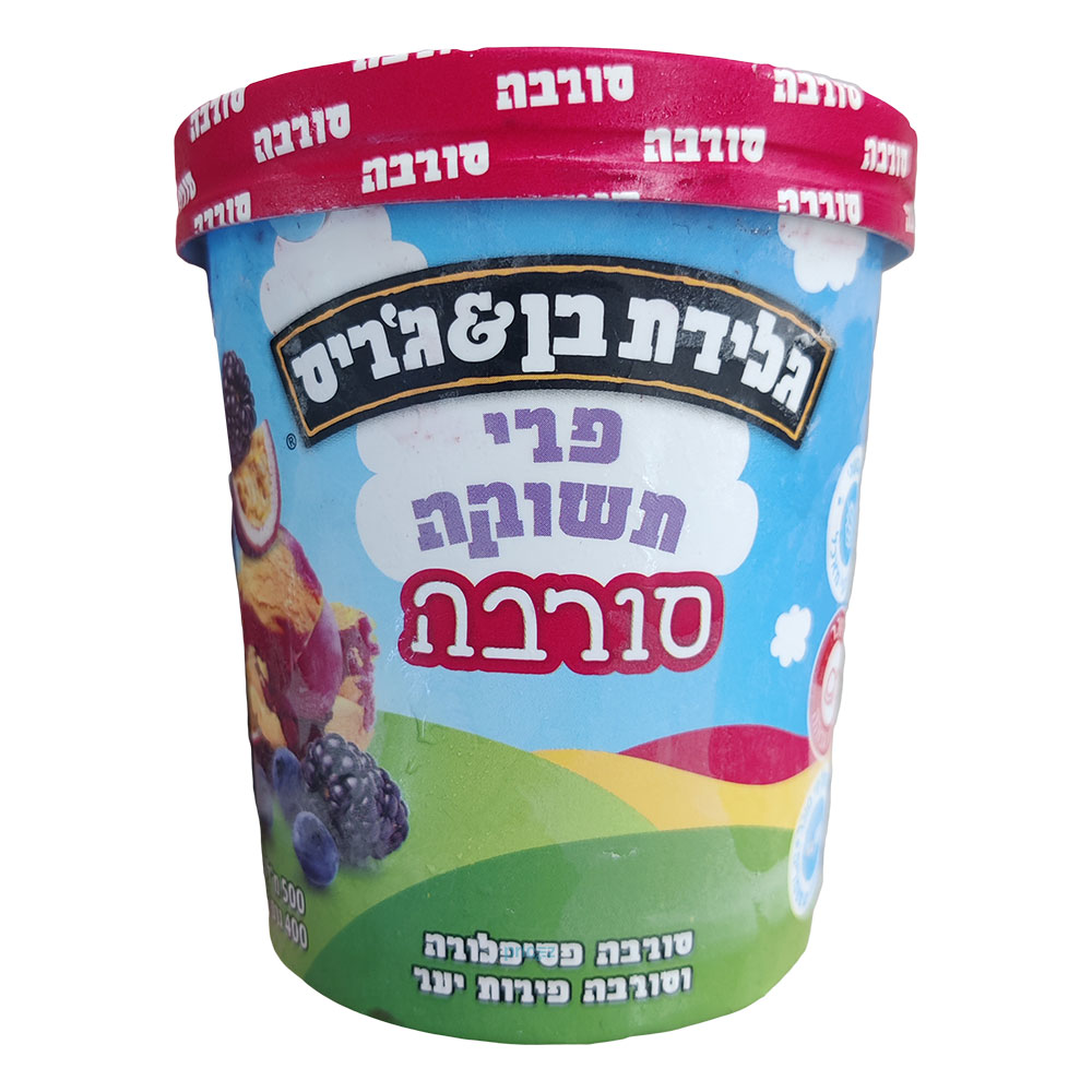*מבצע* פיינט סורבה פ