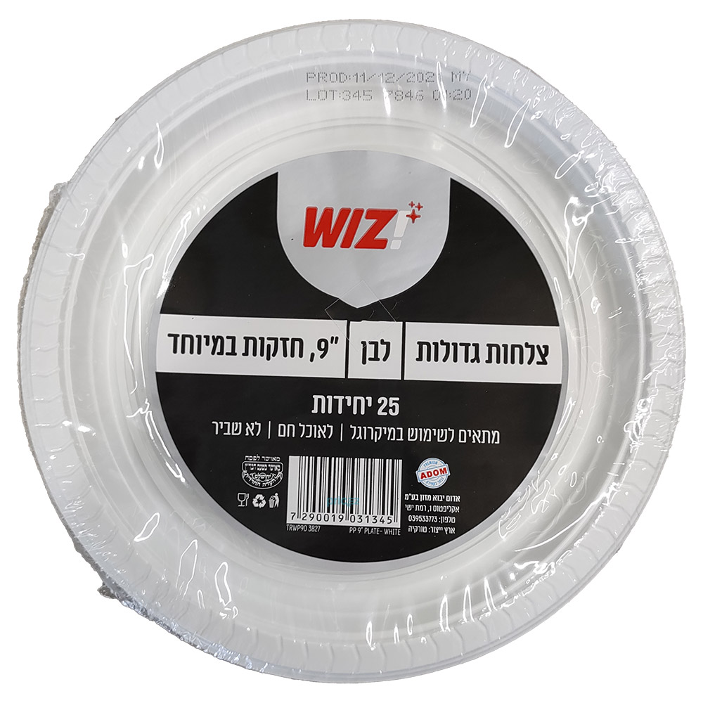צלחות גדולות 9 לבן 2