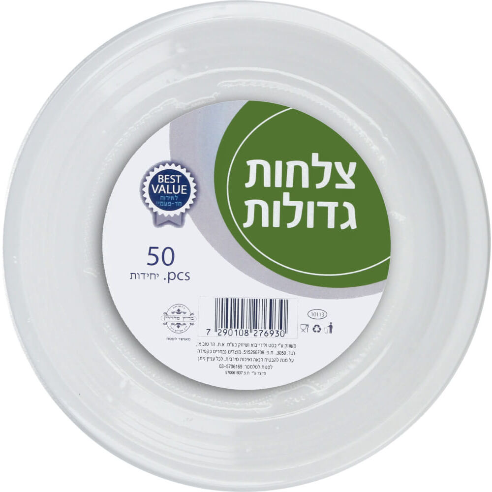 צלחת איטלקית גדולה