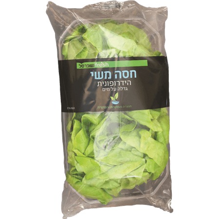 חסה מעודנת הידרופונית יח