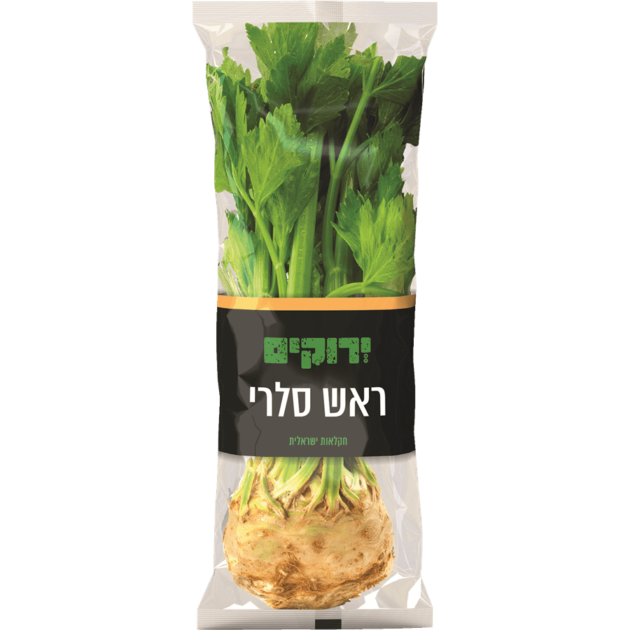 ראש סלרי יחידה