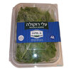 עלה רוקולה א. אדמה יחידה