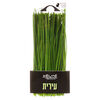עירית רוני יצחק יחידה