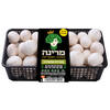 צמד פטריות שמפיניון טריות מרינה 2 * 300 גרם