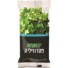 פטרוזיליה טריה ירוקים יחידה