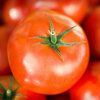 עגבניה אורגנית טריה במשקל